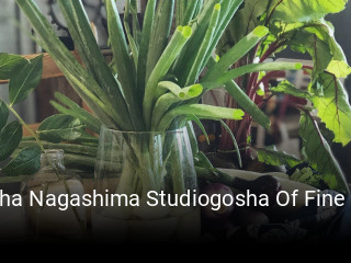 Gosha Nagashima Studiogosha Of Fine Art tisch buchen