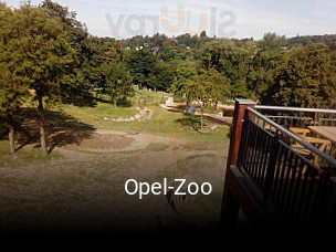 Jetzt bei Opel-Zoo einen Tisch reservieren