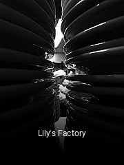 Lily's Factory online reservieren