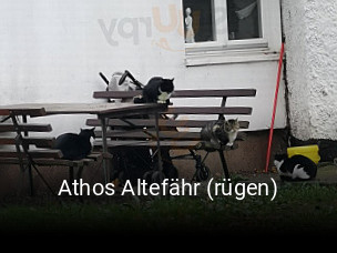 Athos Altefähr (rügen) tisch buchen