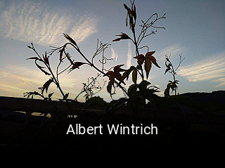 Albert Wintrich tisch buchen