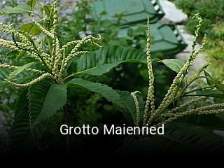 Grotto Maienried online reservieren