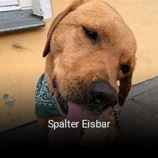 Spalter Eisbar online reservieren