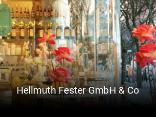 Hellmuth Fester GmbH & Co online reservieren