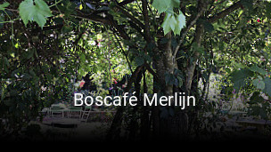 Jetzt bei Boscafé Merlijn einen Tisch reservieren
