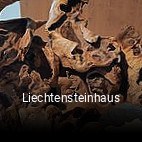 Liechtensteinhaus online reservieren