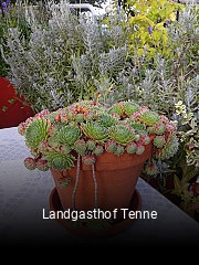 Landgasthof Tenne online reservieren