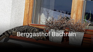 Berggasthof Bachrain online reservieren