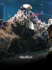 Nautilus online reservieren
