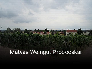 Matyas Weingut Probocskai tisch buchen